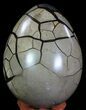 Septarian Dragon Egg Geode - Black Crystals #60360-3